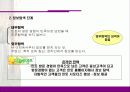 민들레영토의 서비스 분석 30페이지
