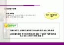 민들레영토의 서비스 분석 31페이지