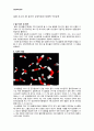 물분자의 입체적 구조의 계산화학적 분석 1페이지