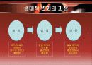 조직간 관계 16페이지