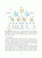 네트워크 마케팅 조직과 보상플랜 10페이지
