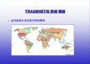 싱가포르의 통관 자동화 시스템 tradenet 3페이지