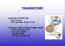 싱가포르의 통관 자동화 시스템 tradenet 9페이지