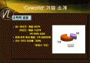 벤처기업 싸이월드의 성공사례 10페이지