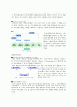 스포츠 마케팅 -스포츠 소비자 행동- 7페이지
