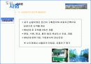 (압구정, 명동, 신촌, 강남역)-소비공간:도시사회문화적 관찰 11페이지