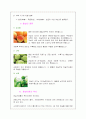 매실의 효능성 4페이지