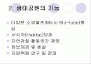생태공원 답사 4페이지