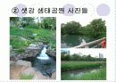 생태공원 답사 8페이지