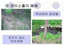 생태공원 답사 9페이지