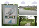 생태공원 답사 13페이지