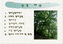 우면산 생태공원 2페이지