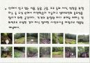 우면산 생태공원 7페이지