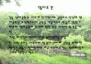 우면산 생태공원 8페이지