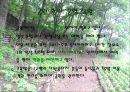우면산 생태공원 9페이지