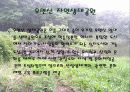 우면산 생태공원 11페이지