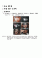 모션타이포그래픽 미디어 조사 4페이지