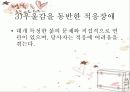 우울증 파워포인트 7페이지