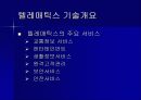 텔레매틱스 3페이지
