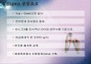 6시그마 경영 16페이지