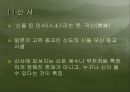 신사참배를  둘러싼 한국과 중국의 입장[한일문제] 3페이지