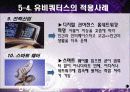 유비쿼터스에 관한 조사 및 분석 (전망과 시장성) 13페이지
