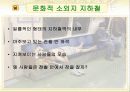 [문화 예술 ]삭막한 지하철의 변화 (문화예술의 접목) 4페이지