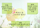 측정지도 2페이지