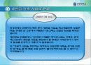 새만금간척사업 13페이지