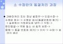수정란의 동결 및 보존 5페이지