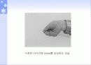 수정란의 동결 및 보존 16페이지
