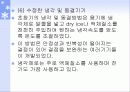 수정란의 동결 및 보존 17페이지