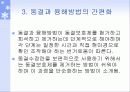 수정란의 동결 및 보존 28페이지