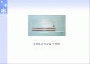 수정란의 동결 및 보존 32페이지
