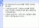 수정란의 동결 및 보존 33페이지