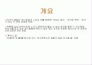 후터스 - 프렌차이즈(조사분석) 5페이지