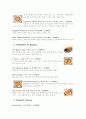 최고의 FS 베니건스! 18페이지