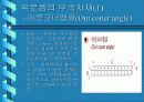 유로폼(EURO FORM)에 대하여 10페이지