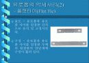 유로폼(EURO FORM)에 대하여 13페이지