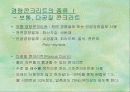 경량콘크리트 3페이지