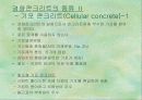 경량콘크리트 4페이지