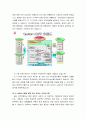 E-HRM에 대한 개념 접근 및 사례 연구 (코오롱 및 전자정부 구축 사례) 24페이지