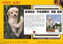 유머로서의 합성이미지(디시인사이드를 중심으로) 3페이지