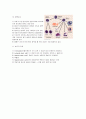 포유류의 순환계 9페이지