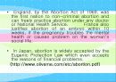abortion에 대한 찬반 논쟁 11페이지