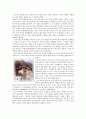 강화도의 역사, 지형, 교통, 관광자원 2페이지