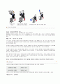 26페이지에 달하는 유도에 대한 내용 13페이지