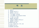 공급망관리 SCM 2페이지