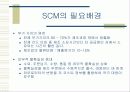 공급망관리 SCM 11페이지