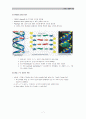 DNA 생명의 비밀 7페이지